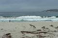 Carmel 10-30-08 248